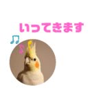 オカメインコモデルのるっちゃん（個別スタンプ：6）