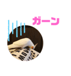 オカメインコモデルのるっちゃん（個別スタンプ：17）