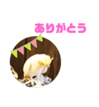 オカメインコモデルのるっちゃん（個別スタンプ：20）