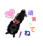 CHACHAファミリー（個別スタンプ：6）