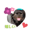 CHACHAファミリー（個別スタンプ：7）