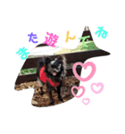 CHACHAファミリー（個別スタンプ：12）