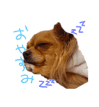ルナノアstamp（個別スタンプ：4）