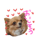 ルナノアstamp（個別スタンプ：5）