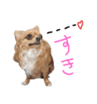 ルナノアstamp（個別スタンプ：6）
