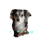 ルナノアstamp（個別スタンプ：7）