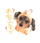 ルナノアstamp（個別スタンプ：8）