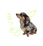 ルナノアstamp（個別スタンプ：9）