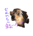 ルナノアstamp（個別スタンプ：14）
