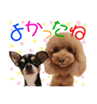 マティラとノアールのかわいいスタンプ♪（個別スタンプ：3）