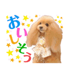 マティラとノアールのかわいいスタンプ♪（個別スタンプ：5）