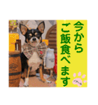 マティラとノアールのかわいいスタンプ♪（個別スタンプ：8）