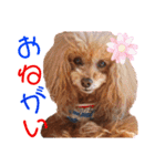マティラとノアールのかわいいスタンプ♪（個別スタンプ：11）