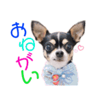 マティラとノアールのかわいいスタンプ♪（個別スタンプ：12）