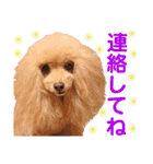 マティラとノアールのかわいいスタンプ♪（個別スタンプ：13）