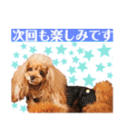 マティラとノアールのかわいいスタンプ♪（個別スタンプ：15）
