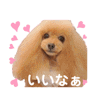マティラとノアールのかわいいスタンプ♪（個別スタンプ：23）