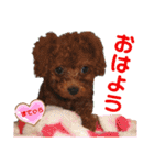 マティラとノアールのかわいいスタンプ♪（個別スタンプ：27）
