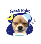 犬のハナちゃんとくぅ（個別スタンプ：2）