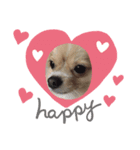犬のハナちゃんとくぅ（個別スタンプ：3）