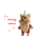 犬のハナちゃんとくぅ（個別スタンプ：7）