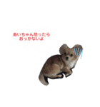 犬のハナちゃんとくぅ（個別スタンプ：8）