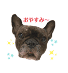 まめ♡ぽんこ♡スタンプ（個別スタンプ：3）