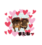 まめ♡ぽんこ♡スタンプ（個別スタンプ：6）
