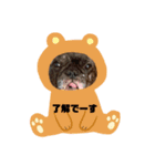 まめ♡ぽんこ♡スタンプ（個別スタンプ：8）