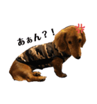 愛犬大集合！（個別スタンプ：1）