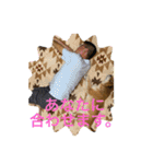 柴犬キッド今日も行く1（個別スタンプ：20）