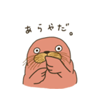むちむちしたセイウチ。（個別スタンプ：4）
