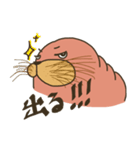 むちむちしたセイウチ。（個別スタンプ：12）