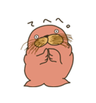 むちむちしたセイウチ。（個別スタンプ：14）