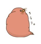 むちむちしたセイウチ。（個別スタンプ：16）