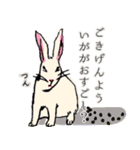 動物たちの歌 beginning（個別スタンプ：9）