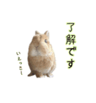 桃尻桃ほっぺの桃様3（個別スタンプ：2）
