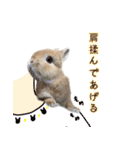 桃尻桃ほっぺの桃様3（個別スタンプ：7）