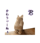 桃尻桃ほっぺの桃様3（個別スタンプ：14）