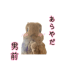 桃尻桃ほっぺの桃様3（個別スタンプ：15）