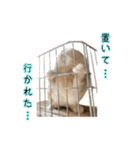 桃尻桃ほっぺの桃様3（個別スタンプ：22）
