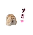 桃尻桃ほっぺの桃様3（個別スタンプ：23）