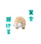 桃尻桃ほっぺの桃様3（個別スタンプ：25）