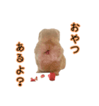 桃尻桃ほっぺの桃様3（個別スタンプ：27）