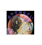 チノカフェさんちの♪挨拶するウロコインコ（個別スタンプ：15）