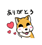 実家犬モミジちゃん3-感謝と応援-（個別スタンプ：1）