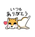 実家犬モミジちゃん3-感謝と応援-（個別スタンプ：2）