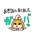 実家犬モミジちゃん3-感謝と応援-（個別スタンプ：10）