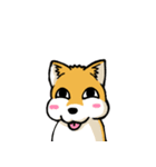 実家犬モミジちゃん3-感謝と応援-（個別スタンプ：11）