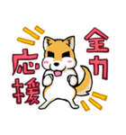 実家犬モミジちゃん3-感謝と応援-（個別スタンプ：13）